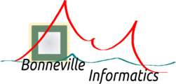Bonneville Informatics Logo